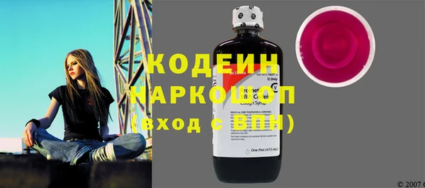 стаф Алзамай