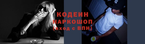трава Арсеньев