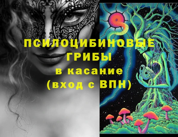 трава Арсеньев